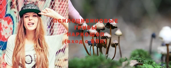 мяу мяу мука Абдулино