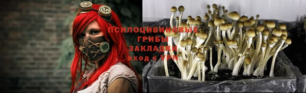 гашиш Абаза