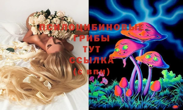 мяу мяу мука Абдулино