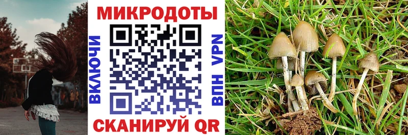 Псилоцибиновые грибы MAGIC MUSHROOMS  дарнет шоп  Вичуга 
