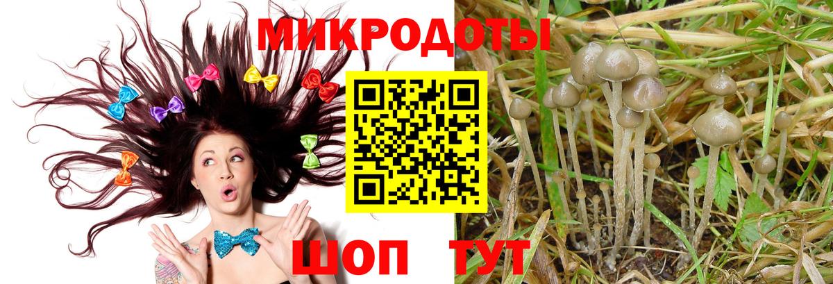 Псилоцибиновые грибы мухоморы  продажа наркотиков  Вход с VPN  Вичуга  Псилоцибиновые грибы ЛСД 