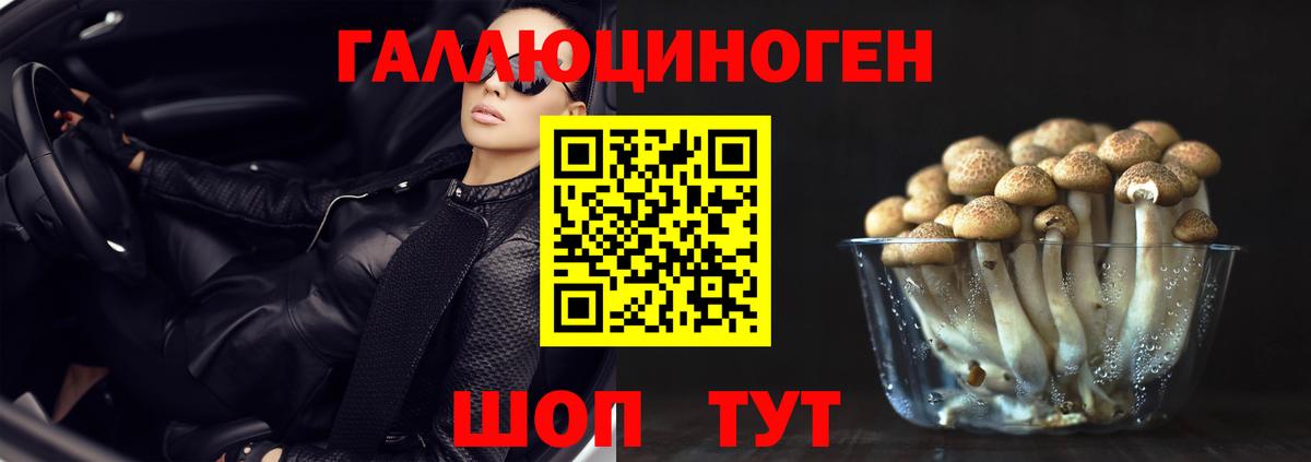 Псилоцибиновые грибы GOLDEN TEACHER Вичуга